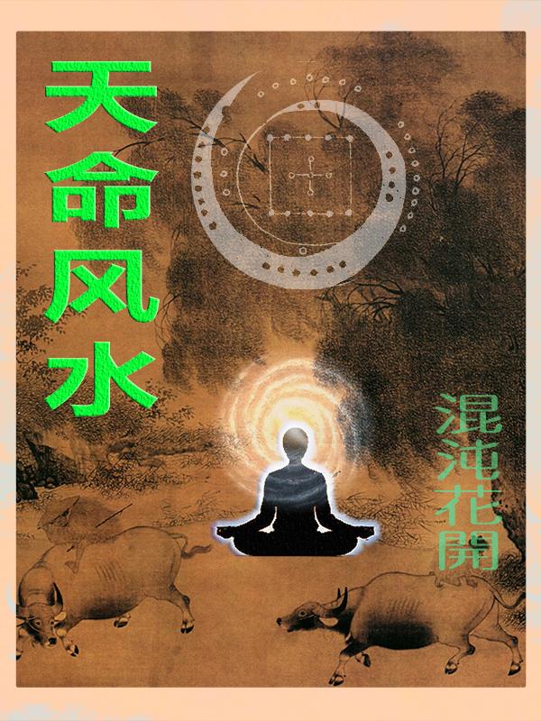 天命风水师林墨的一生