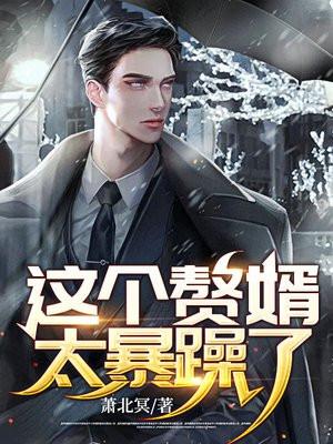 这个女婿有点猛大结局