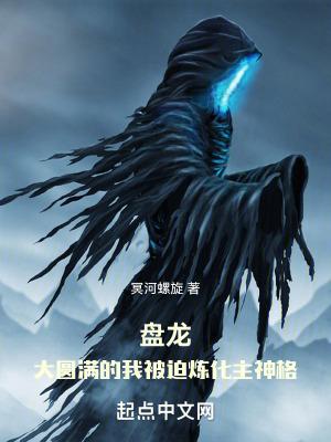 盘龙之圆满之上123