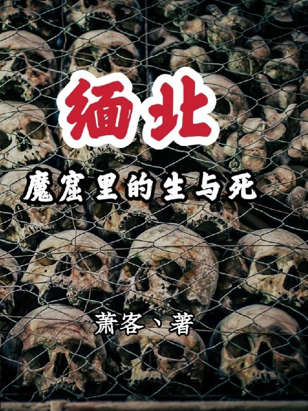 缅北魔窟里的生与死未删减版