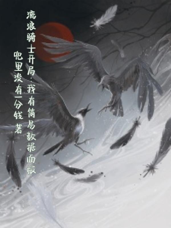 流浪骑士教程免费