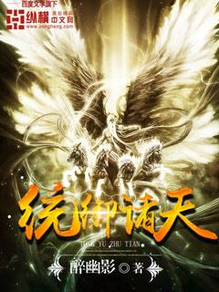 一统诸天全本