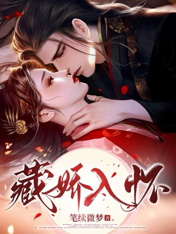 书名藏娇