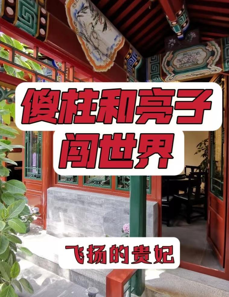 傻柱炫耀儿子