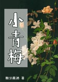 小青梅NP高干文