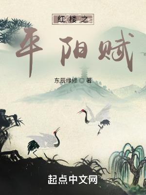 红楼之平阳赋简介