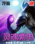 灵魂紫电大结局免费阅读