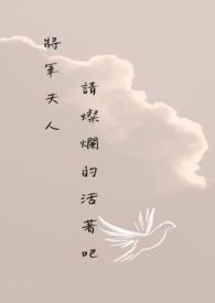 电视连续剧将军夫人