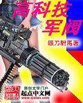 高科技军阀作者银刀驸马