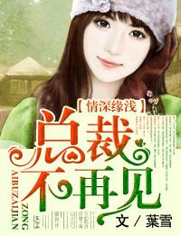 总裁情深不浅紫薯未删减版