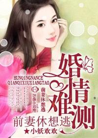 婚情缠爱前妻太难追全文免费阅读