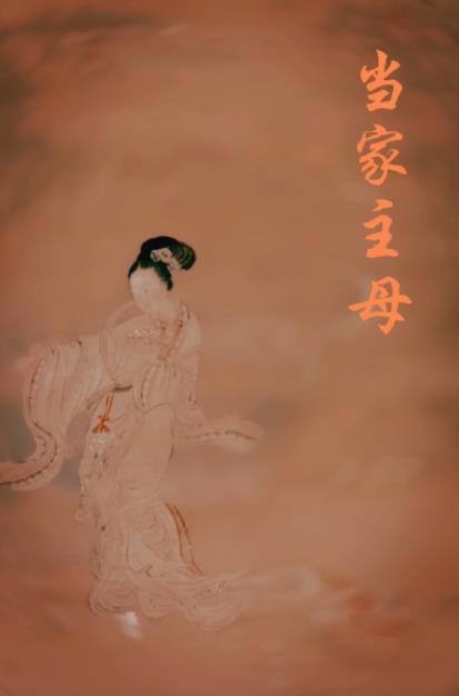 重生之当家主母txt资源