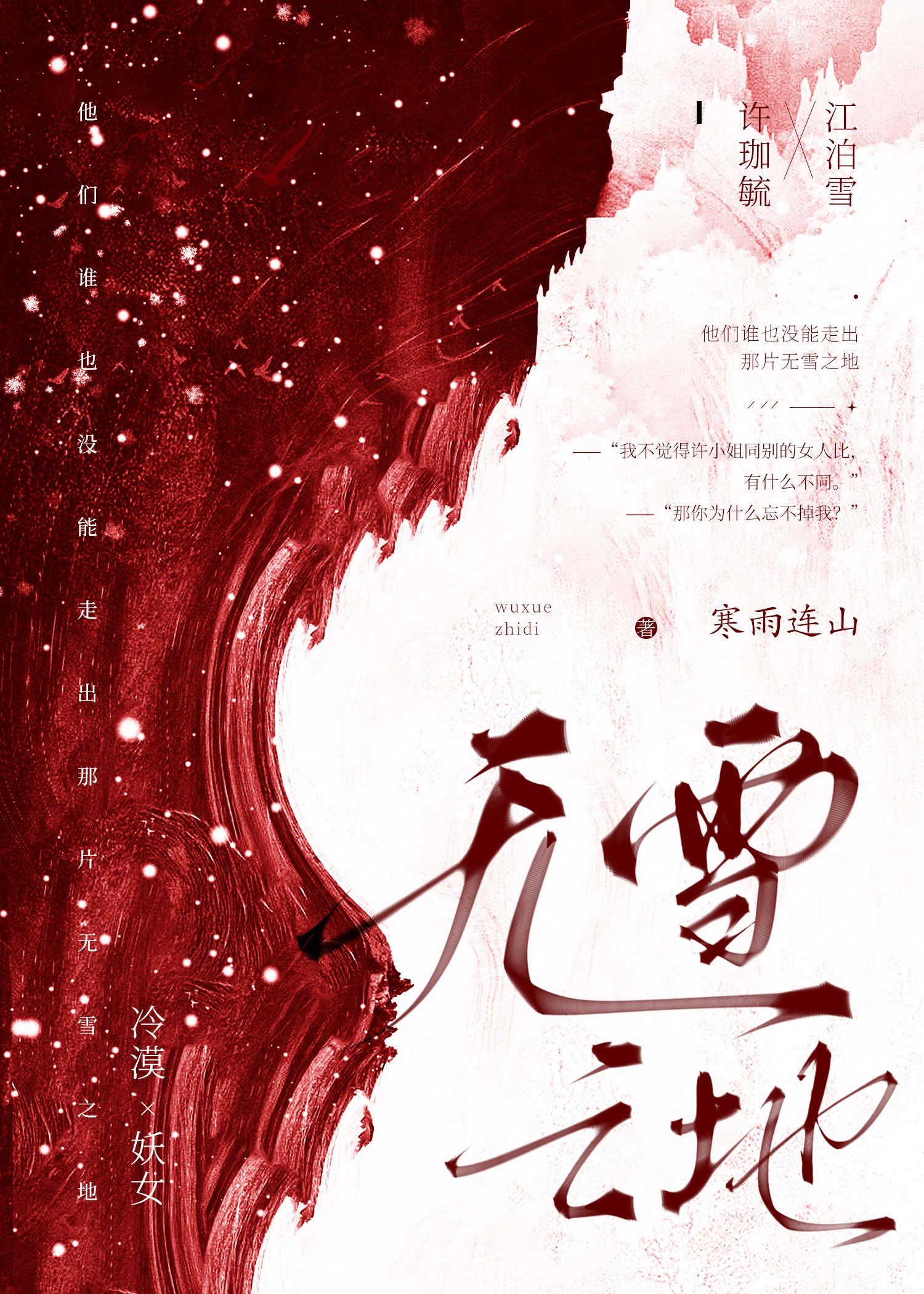 无雪之地讲了什么