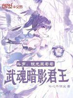 银龙王魂技介绍