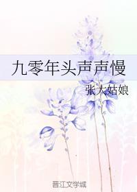 九零年头声声慢txt百度