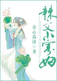 辣文小寡妇动漫在线观看