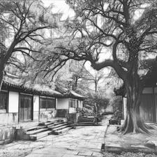 账房先生出不来战略