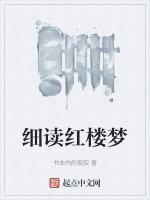 细读红楼梦49回后半回