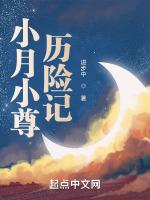小月解说我的世界历险记