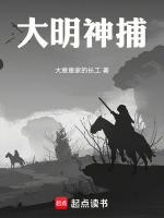 大明神捕之银钗盗免费观看