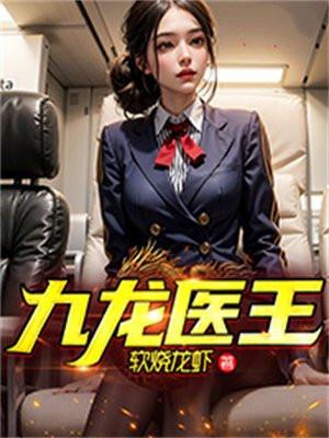 九龙医王笔趣阁
