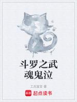 斗罗武魂研究日记