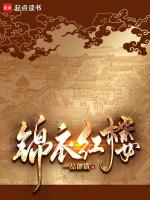锦衣红楼免费阅读