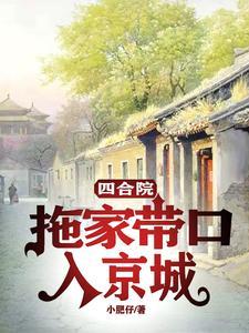四合院新式