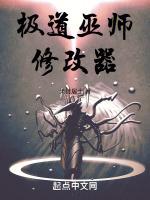 巫师2修改器无限金钱