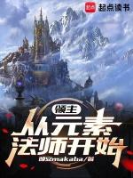 元素领主刷图技能