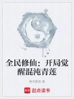 全民修仙开局觉醒混沌青莲TXT
