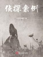 侦探案例by是写还是写