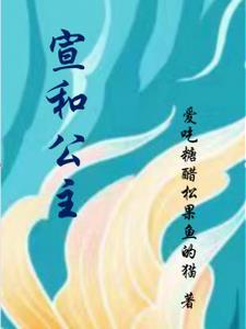 宣和公主是谁