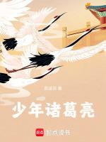 少年诸葛亮3故事全集大全