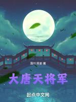 大唐天将军全本TXT