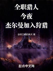 全职猎人杰和奇犽