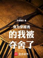 身为穿越者的李凡