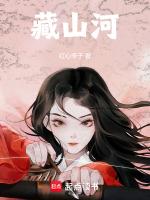 藏山河重制版