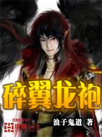 神圣光翼龙袍