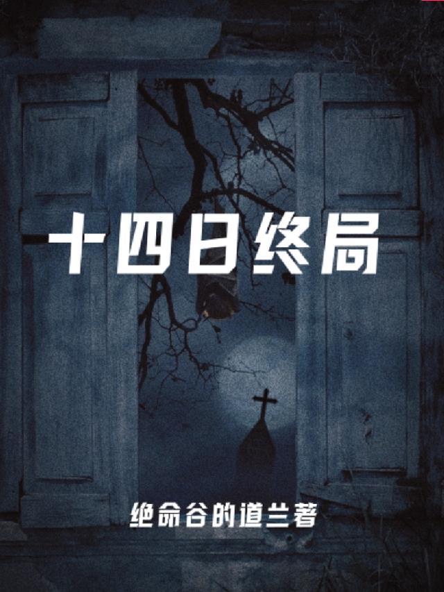 十四天电视剧