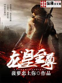 龙皇至尊1-100集免费观看