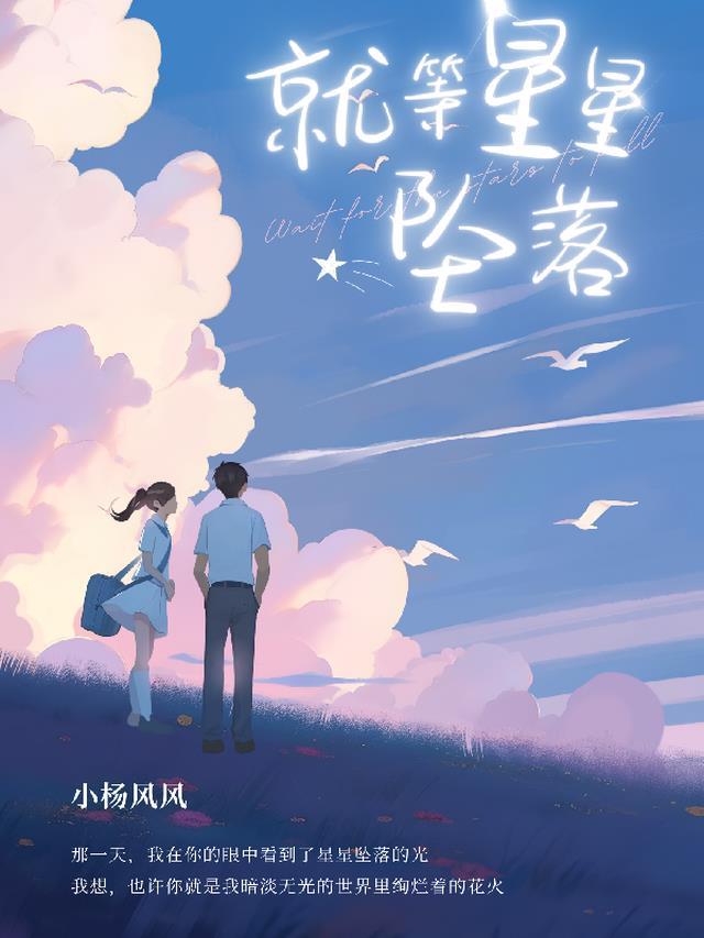 等星辰坠落的情侣网名