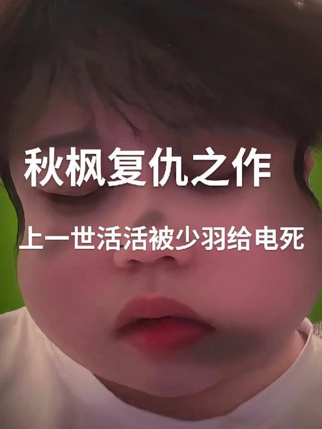 秋枫树百科