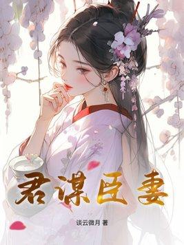 君谋臣妻(谈云微月)