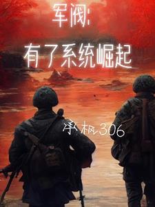 军阀有了系统崛起 承枫306