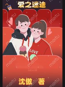 爱之迷途1-40集全免费观看