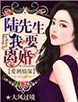 爱到情深陆先生我要离婚免费观看