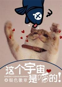 这个宇宙是虚拟的