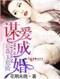 谋爱成婚总裁老公爱撒糖全文免费阅读