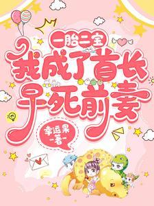 一胎双宝我成了首长早死前妻 作者幸运果